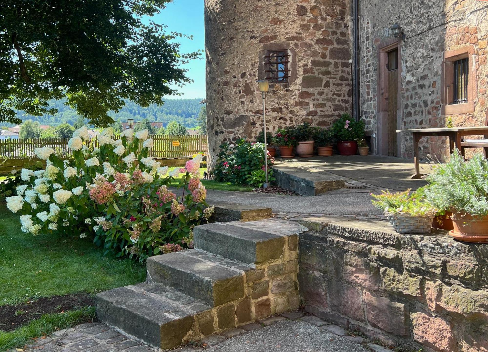 Alte Foersterei - Elegantes Apartment In Der Historischen Hinterburg Schlitz - Nahe Fulda Und Bad Hersfeld ภายนอก รูปภาพ
